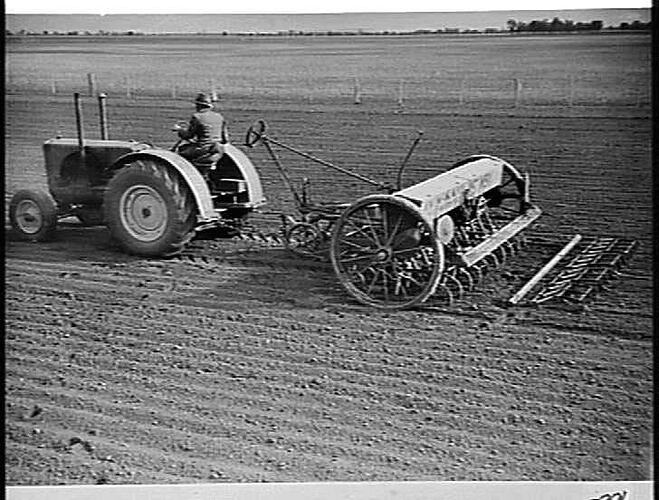 WHEAT BEING SOWN ON THE PROPERTY OF MR. W. E. DAHLENBURG, A PROMINENT WIMMERA FARMER AT DAHLEN, VIA HORSHAM. THE MACHINE IS AN 18-ROW, 37-TINE `SUNTYNE' COMBINE WITH FORWARD SCREW-LIFT, WITH `SUNTRAIL' STUMP-JUMP SMOOTHING HARROWS BEHIND, DRAWN BY SUNSHIN