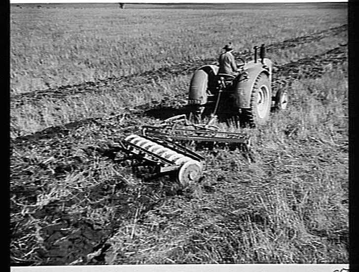 Photograph - H.V. McKay Massey Harris, Sunmaster Disc Cultivator ...