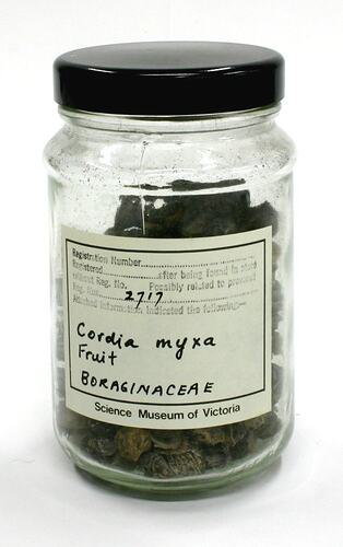 Labelled jar of dark coloured fruit sample.