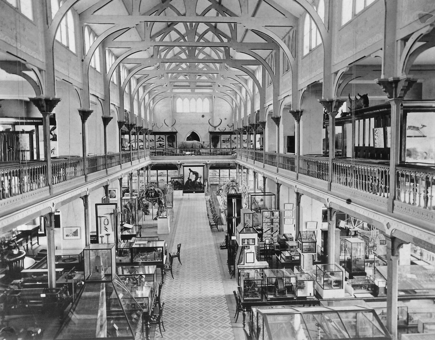 Our History Treasures Museums Victoria, 2004