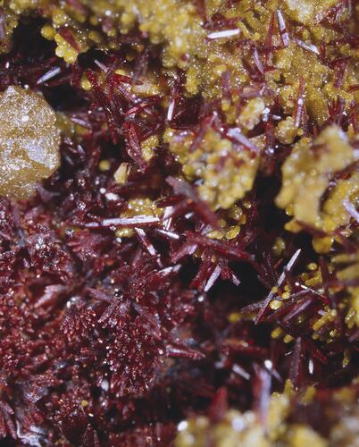 Carminite. [M 42653]