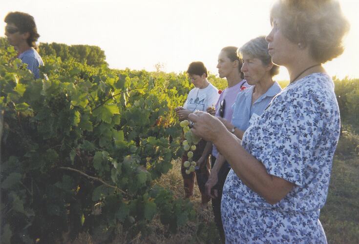 Women visiting Monichino's winery, Women on Farms Gathering, Numurkah 1992