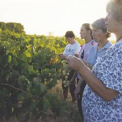 Digital Photograph - Grape Tasting during Winery Tour, Women on Farms Gathering, Numurkah, 1992