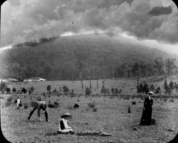 Lantern Slide - Picking Mushrooms, Dandenongs, Victoria, circa 1900. [BA 1626]