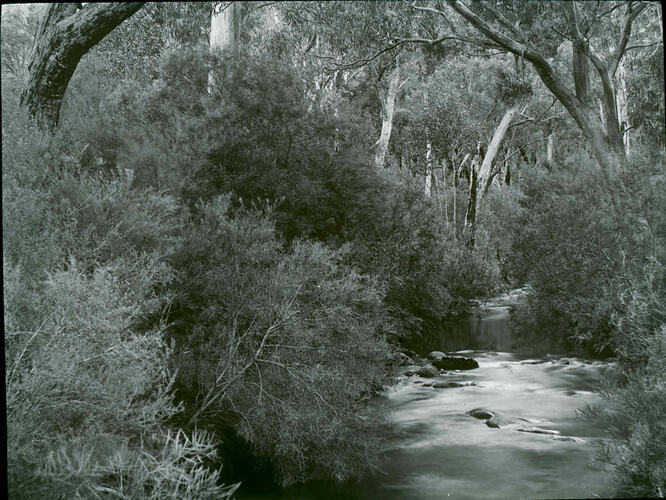 Lantern Slide - Yarra River, Warburton, Victoria, Date Unknown. [BA 1820]