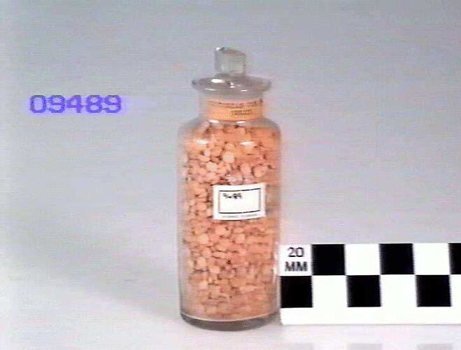 Peas, Victorian Dun