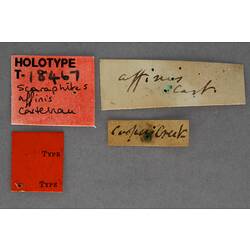 Handwritten specimen labels.