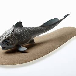 Model of extinct fish.