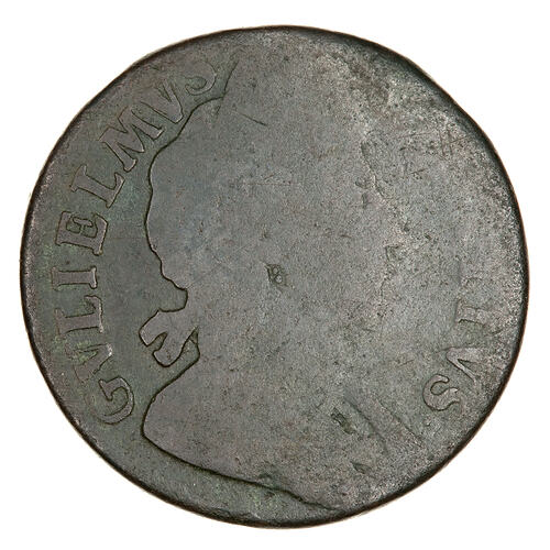 Coin - Halfpenny, William III, England, Great Britain, 1699 (Obverse)