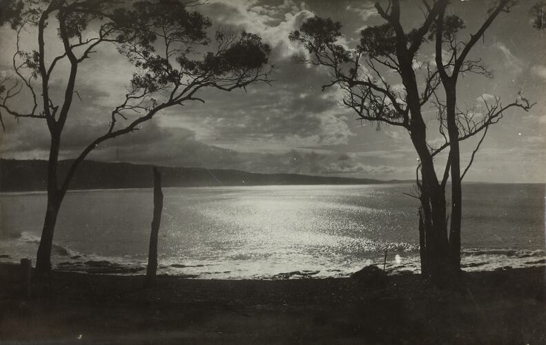 Photograph - Coastal Landscape, Lorne District, Victoria, circa 1930s