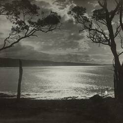Photograph - Coastal Landscape, Lorne, Victoria, circa 1930s