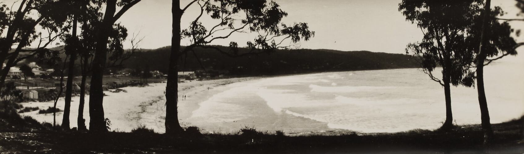 Photograph - Coastal Landscape, Lorne, Victoria, circa 1920s