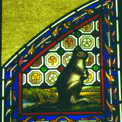 Detail of stained glass window showing a kangaroo.