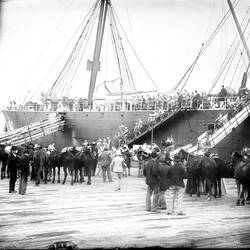 Glass Negative - Soldiers & Horses Waiting to Board Ship, Boer War, Melbourne, 1901