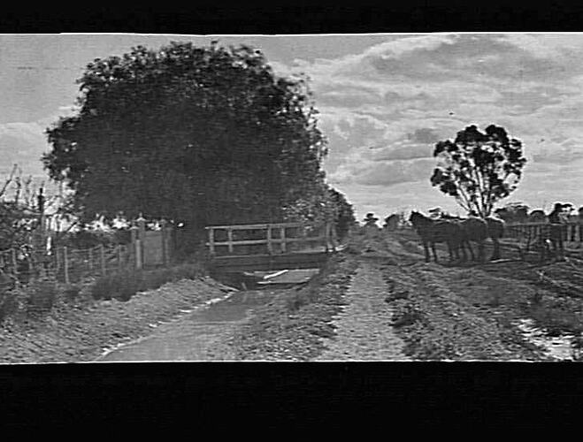 MERRIGUM - VICTORIA AVENUE