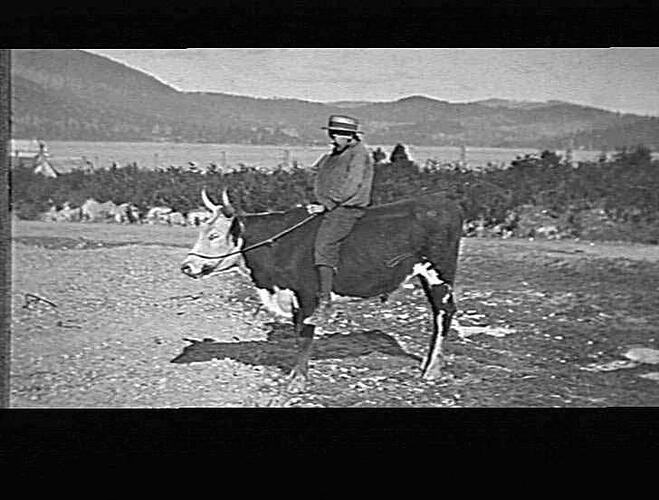 PORT ARTHUR - MAN RIDING A BULL