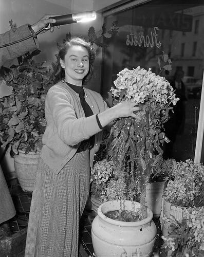 Ireland Florists, Portrait of a Woman in Shop, Melbourne, Victoria, 1953