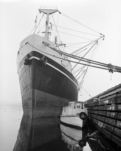 Negative - 'Bilkurra' Cargo Ship, Victoria, 1958