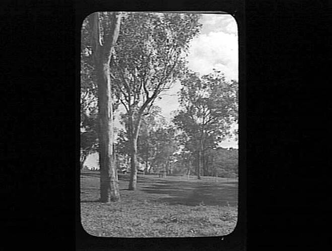 Lantern Slide