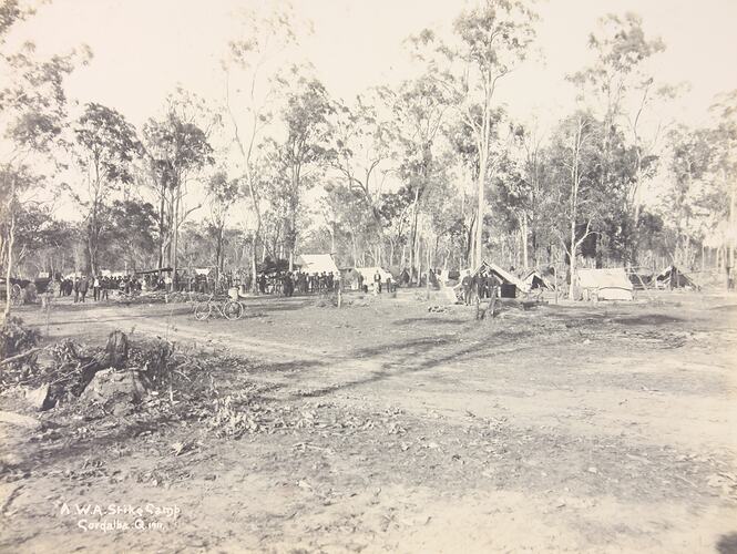 Photograph - Amalgamated Workers Association Strike Camp, Codalba, Queensland, 1911