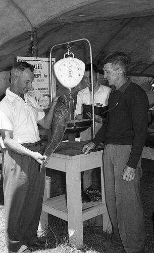 Monochrome photograph of a fishing competition.