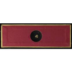 Underside of microslide covered in red paper containing bryozoan specimen.