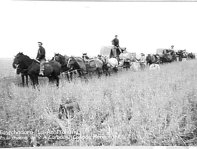 "CASECHADORA LA AUSTRALIANA EN LA CHACRA DE SR A. CARBONEL CANADA MARIANO, F.C.S."