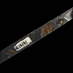 Esquel Meteorite. [E 14141]