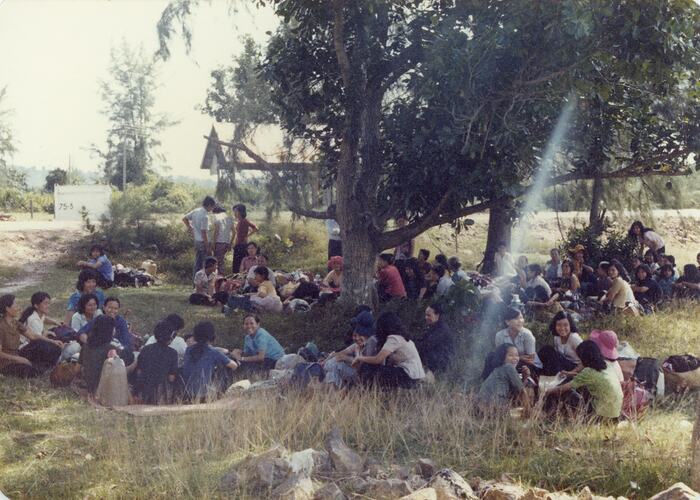 Group of people, mostly women, sitting under trees.