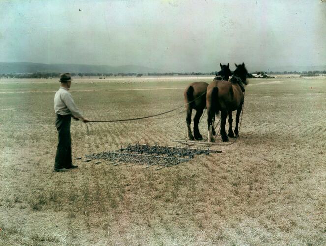 Negative - International Harvester Co, Victoria, circa 1941