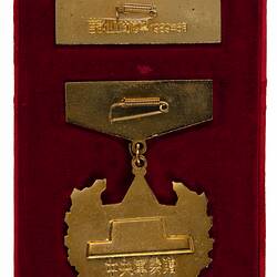 Back view of gold medal and bar stored in red velvet case.