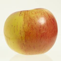 Wax model of an apple with stem, painted yellow and red.