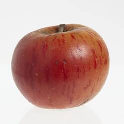 Wax model of an apple with stem, painted red with yellow flecks.