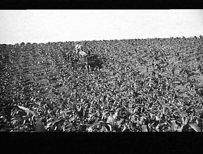 `CHALLENGER' ROW CROP TRACTOR IN MAIZE: 1938