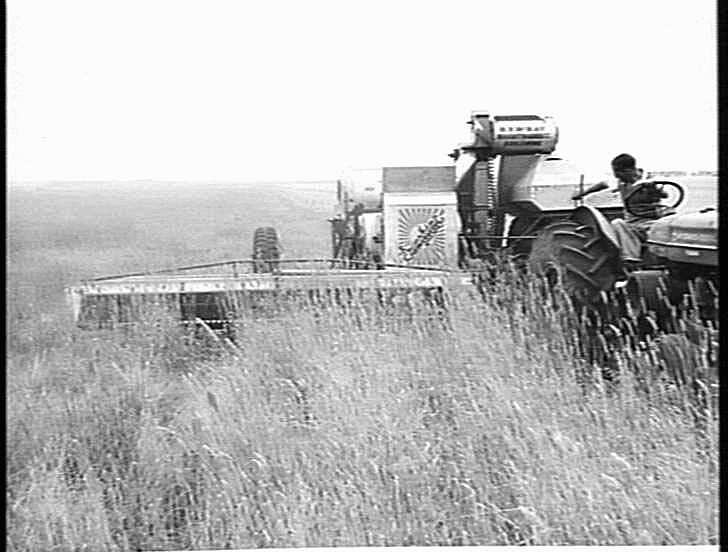 Photograph Hv Mckay Massey Harris Farm Equipment Manufacture And Field Trials Mortlake