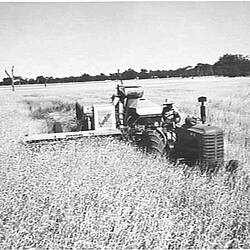 Photograph - H.V. McKay Massey Harris, Farm Equipment Manufacture & Field Trials, Shepparton, Victoria, Dec 1953