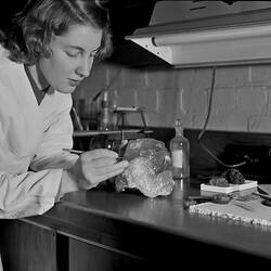 A woman in a lab coat writes on a rock specimen.