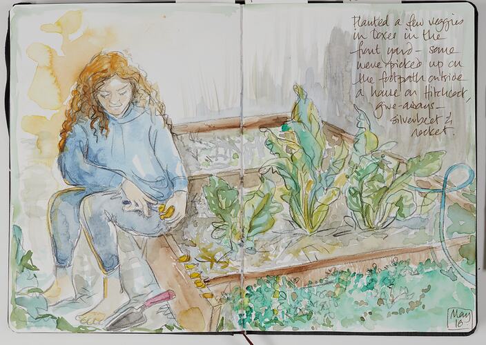 Sketch Of Home Gardening During COVID-19, Barwon Heads, 18 May 2020
