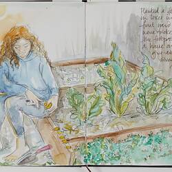 Sketch Of Home Gardening During COVID-19, Barwon Heads, 18 May 2020