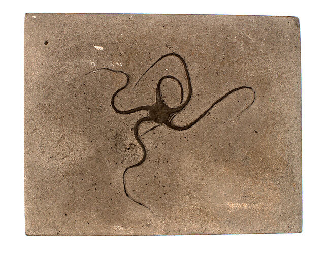 <em>Palaeocoma tenuibrachiata</em>, fossil brittle star. [P 145340]