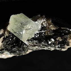 Fluorapatite. [M 36512]