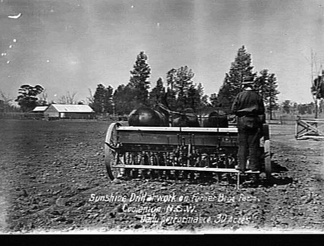 SUNSHINE DRILL AT WORK ON TURNER BROS. FARM, COOLOMON, NSW: DAILY PERFORMANCE, 30 ACRES