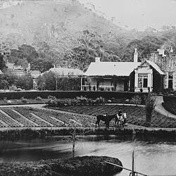 Negative - 'Ercildoune' Homestead & Gardens, Ballarat District, Victoria, pre 1875