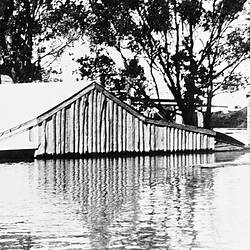 Negative - Euston, New South Wales, 1931