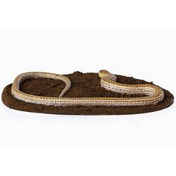 Legless lizard model with brown spots and stripes along body.