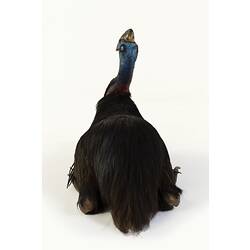 Large black bird specimen with a blue head mounted in a sitting pose.