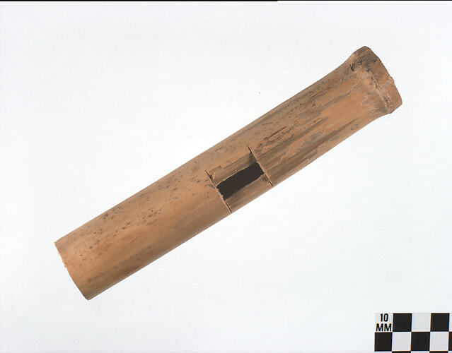 Piece of hollow pale brown bamboo with hole.