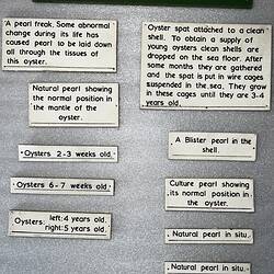 13 white labels of varying sizes with black text.