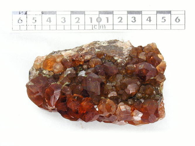 Red-brown crystals beside scale bar.