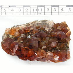 Red-brown crystals beside scale bar.